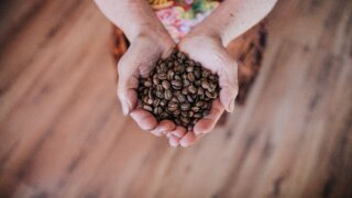  Coffee in Guatemala : history and local tour 