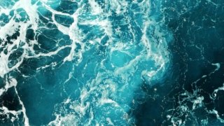 <b>Terra Guatemala </b><br> A local travel agency, Guatemala expert